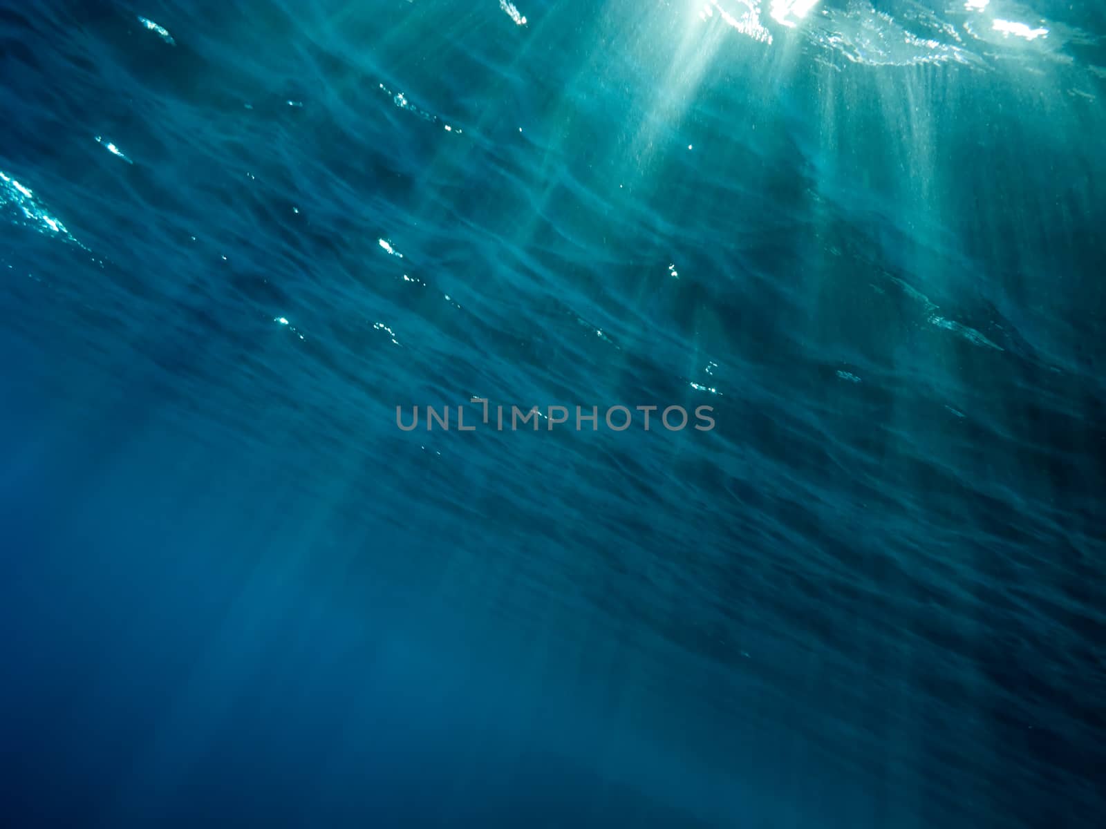 The underwater picture with the rays of light from the surface to depth