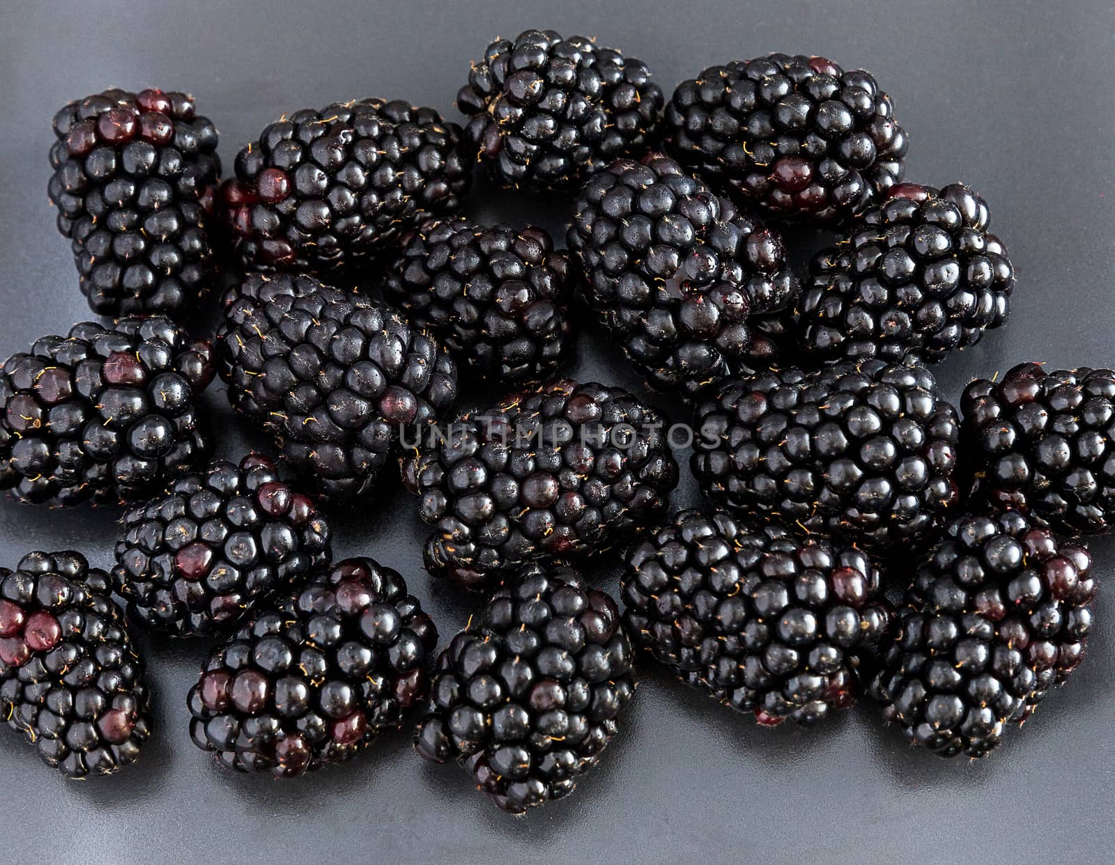 Blackberries close-up. Grey background.