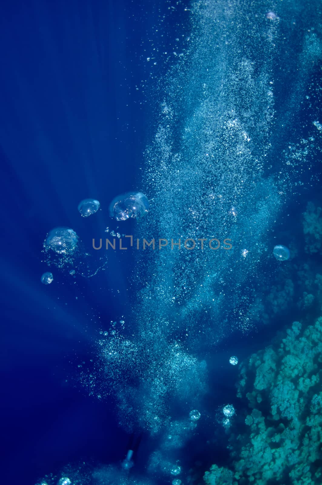 The picture shows underwater bubbles which raise from the depth of blue sea