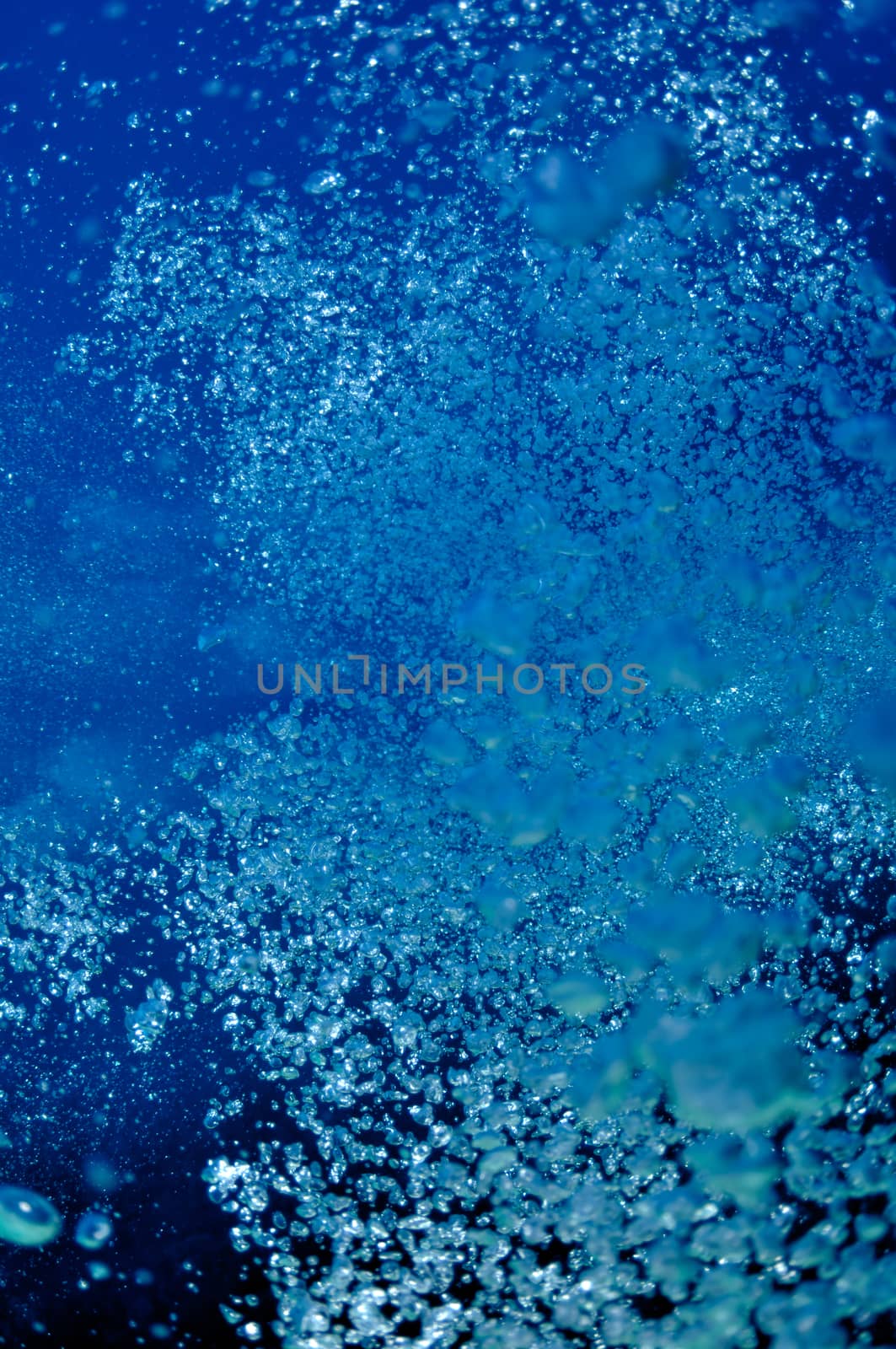 Raising underwater bubbles in the blue sea by nemo269