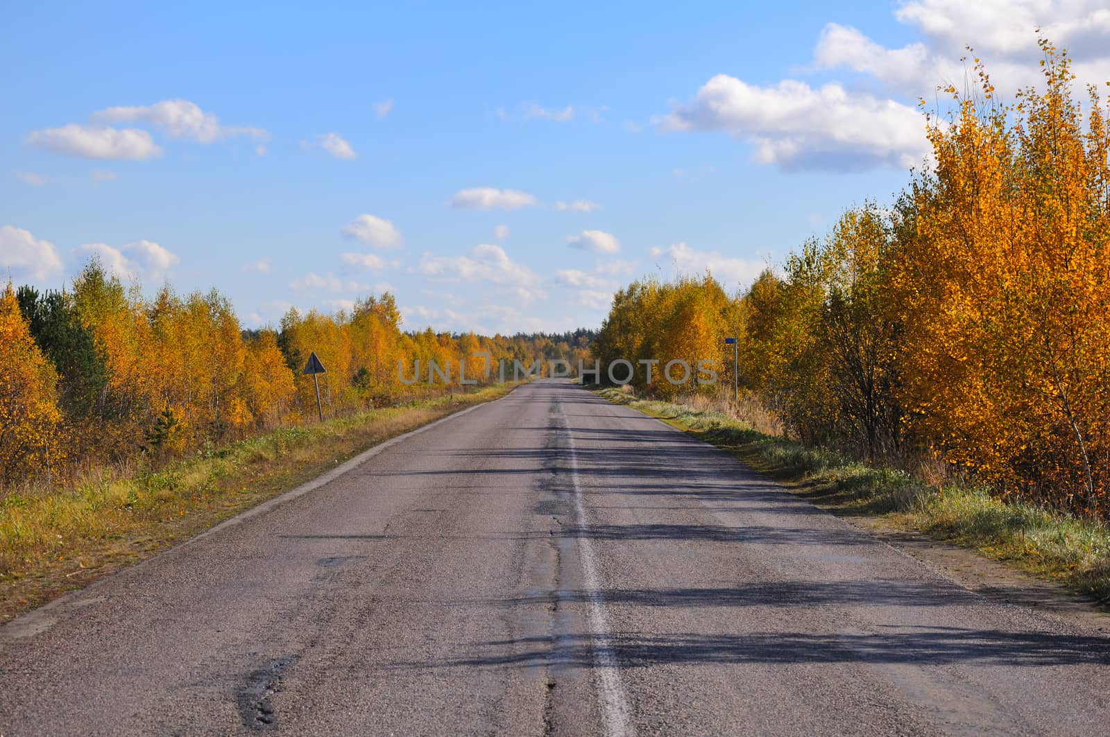 Old patched road between autumn trees by nemo269