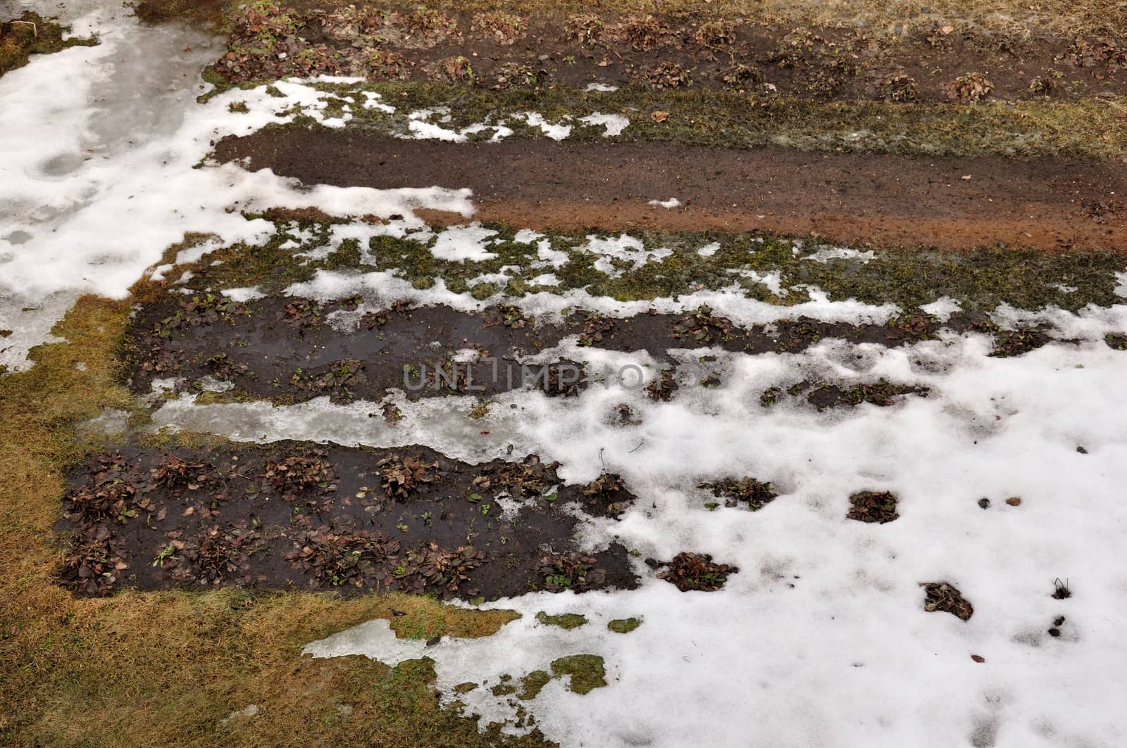 The snow and ice melting on a cottage vegetable garden and ground under the spring sun light