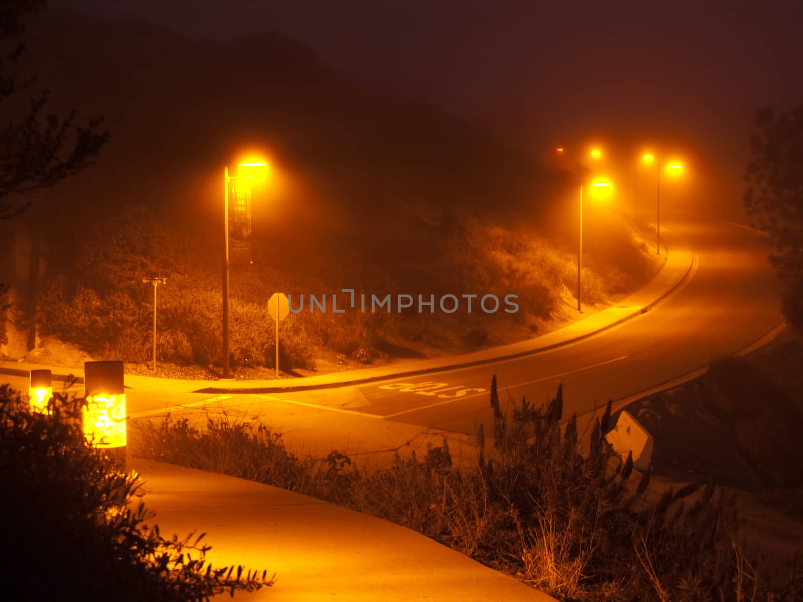 An empty night freeway, illuminated by lamps in a mist. Sun Diego, USA
