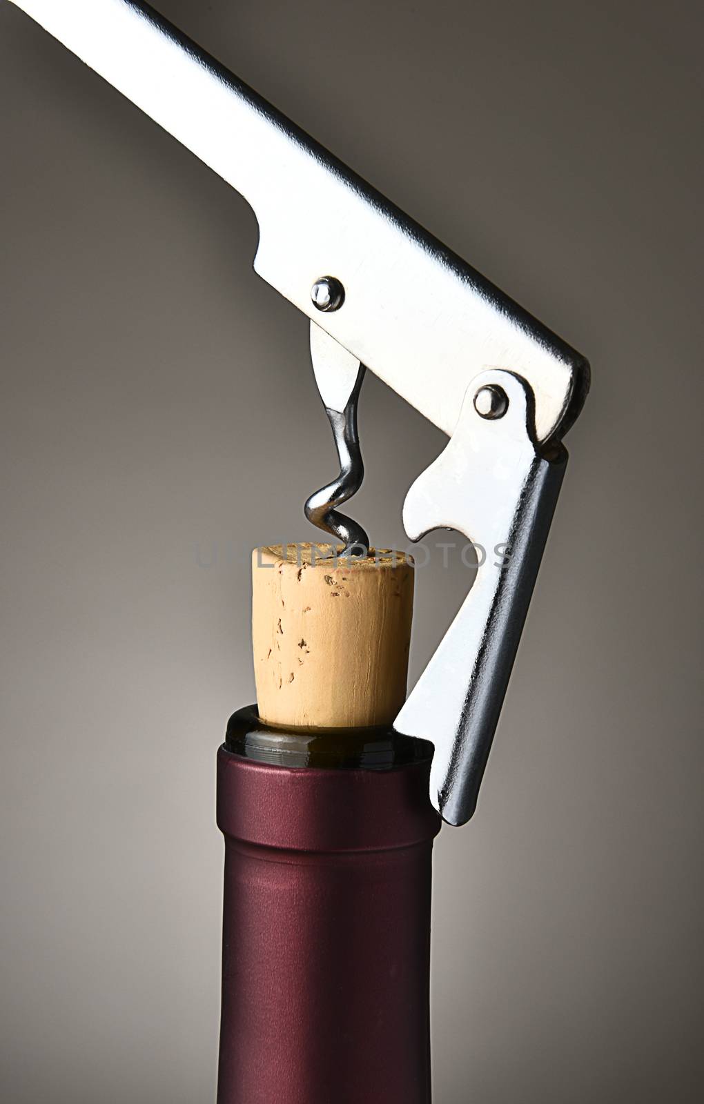 Uncorking Wine Bottle by sCukrov