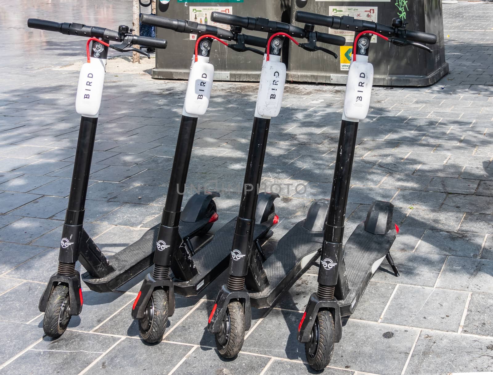 Antwerpen, Belgium - June 23, 2019: Closeup of four black Bird scooters parked on gray pavement.