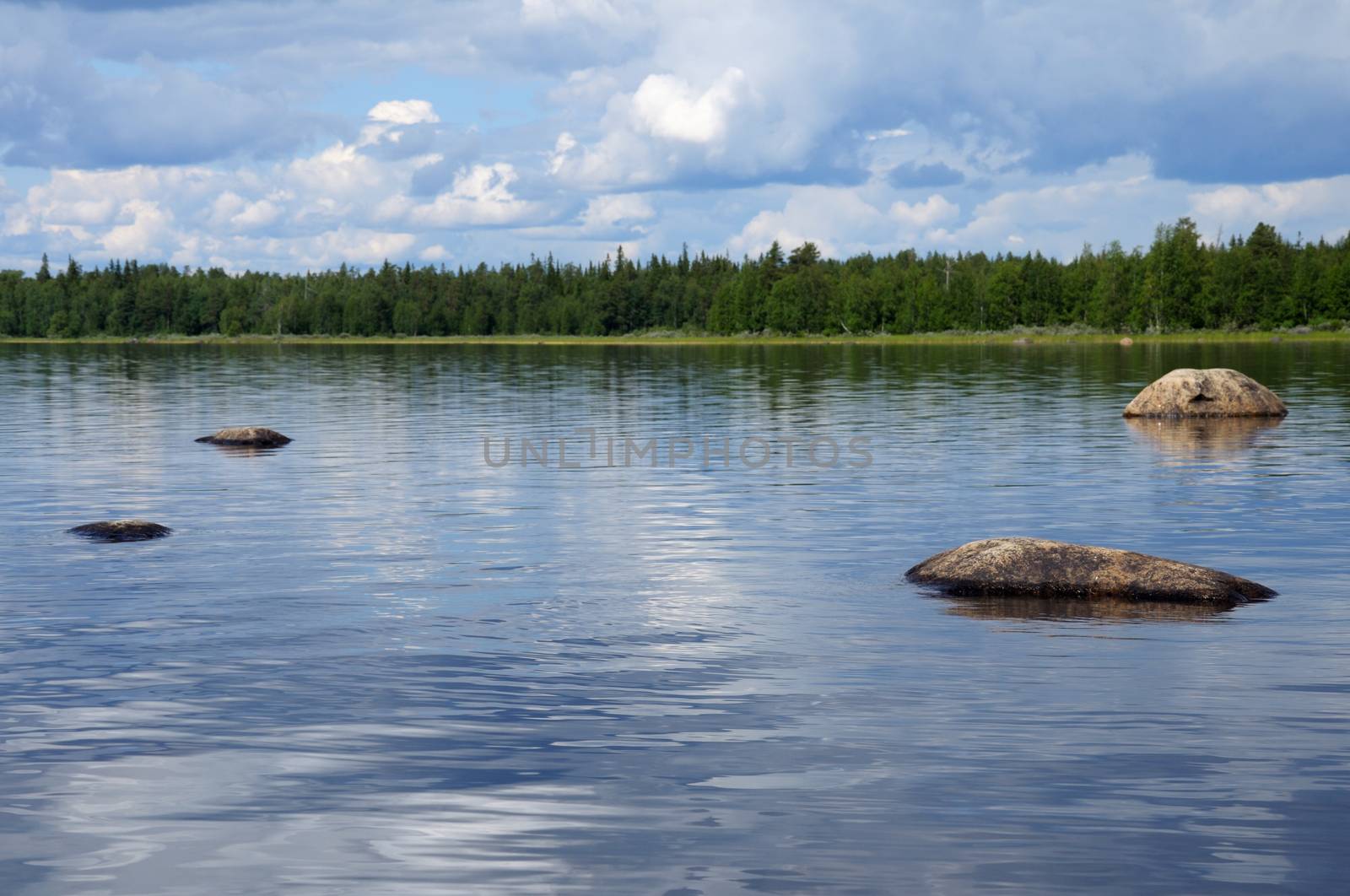 The beautiful picture of Karelian forest at the edge of a lake, and some huge boulder in this lake