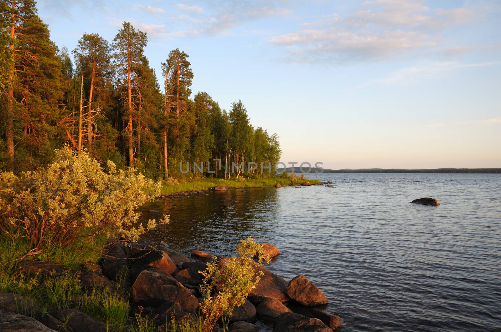 The beautiful picture of Karelian forest at the edge of a lake, and some huge boulder in this lake