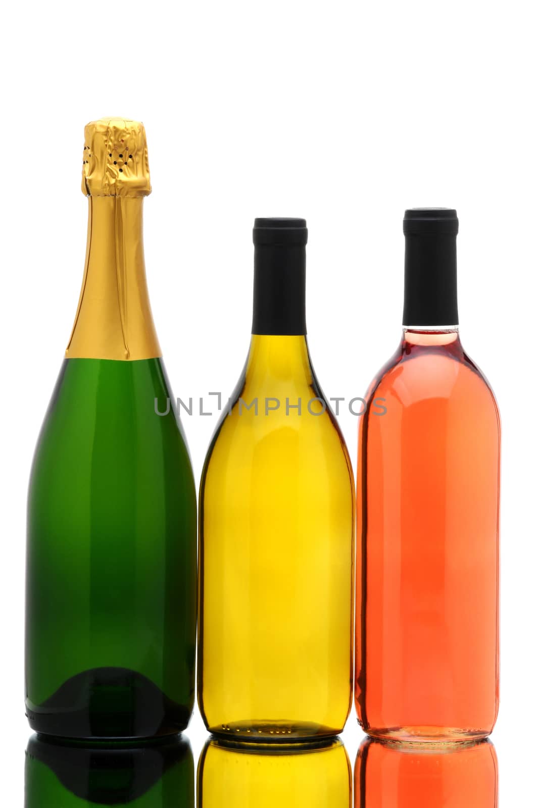 Bottles of Champagne, Chardonnay and White Zinfandel isolated on white with reflections in table top. Vertical Composition