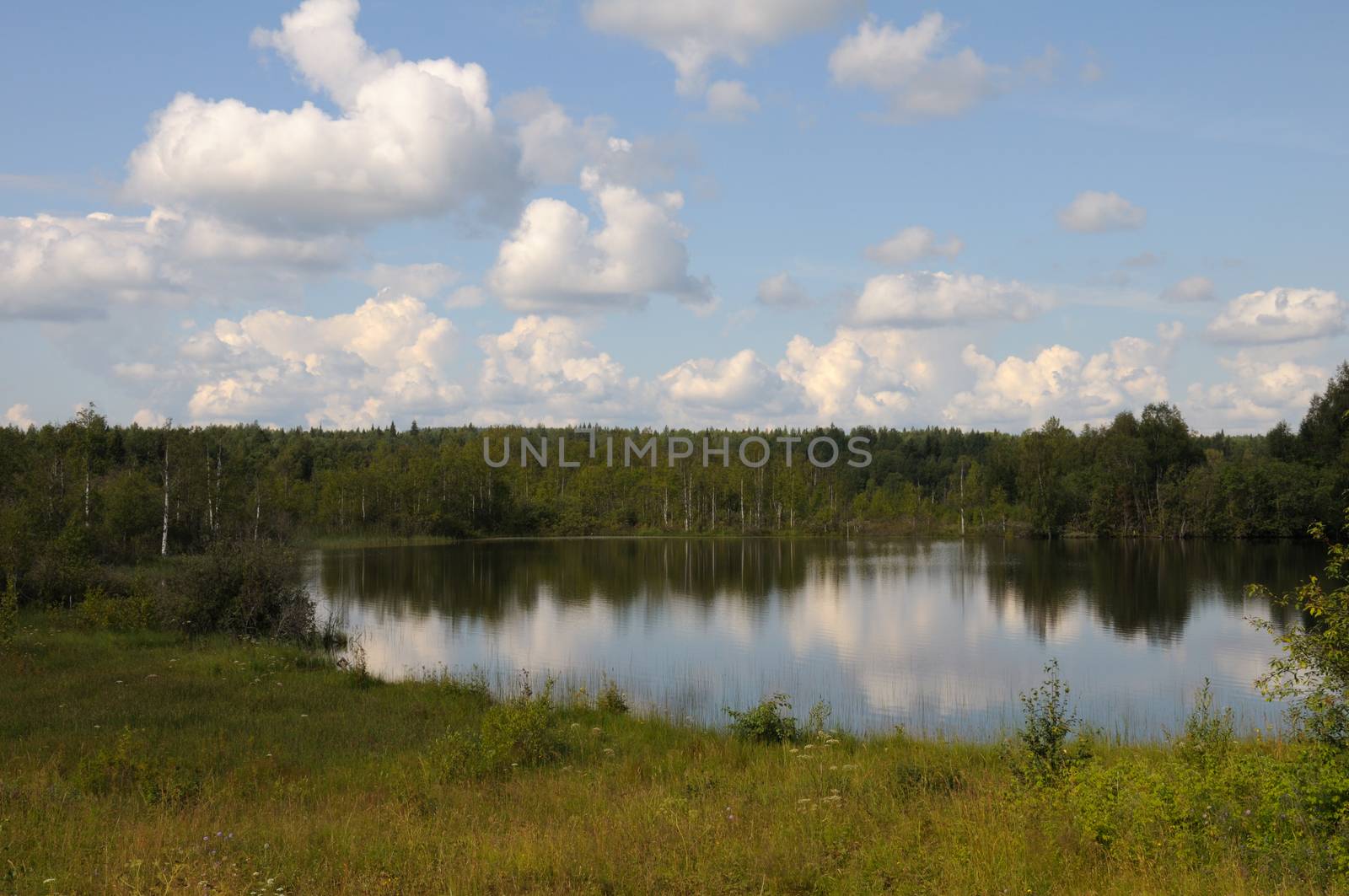 Beautiful lake in a forest under blu sky with cumulus clouds