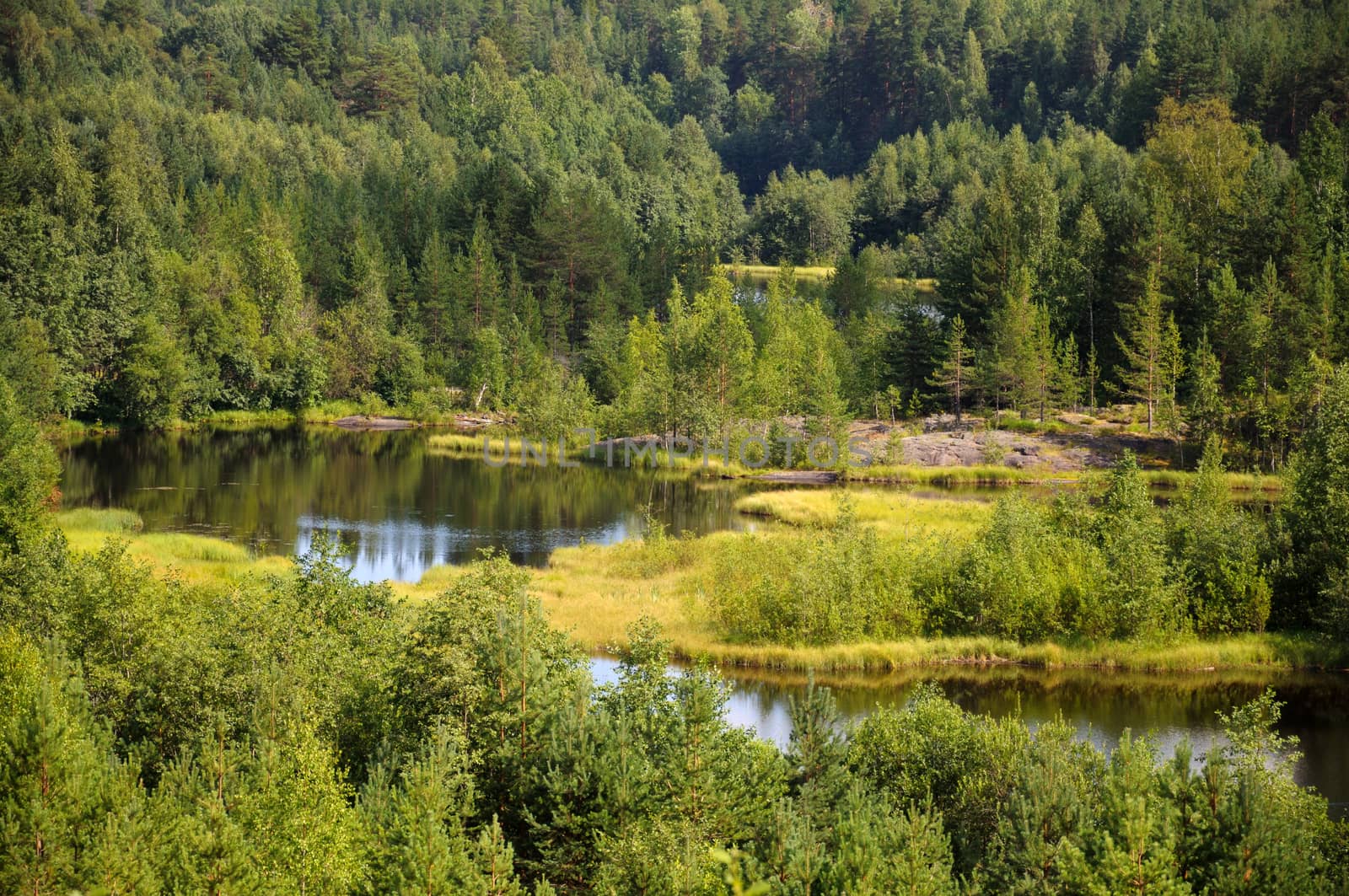 Beautiful forest and meadow view near bending river