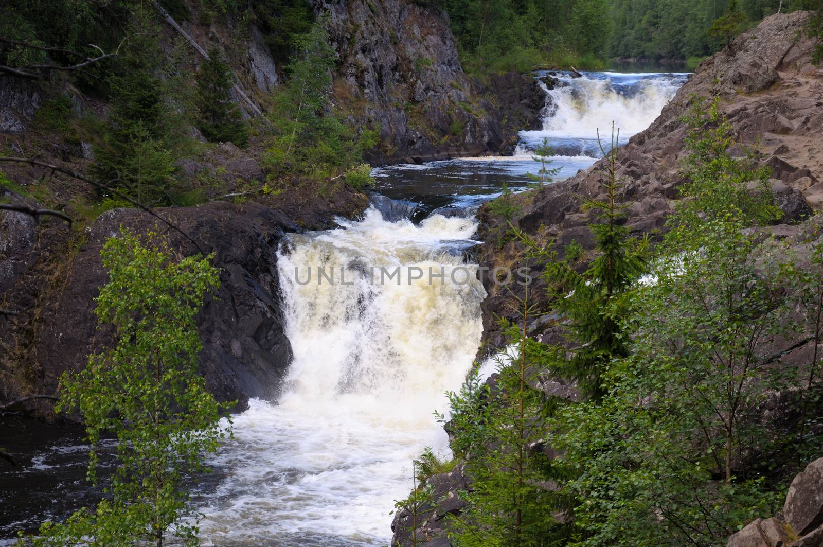 This picture shows Kivach - the most powerfull waterfall in Karelia region (approximately 12 meters)