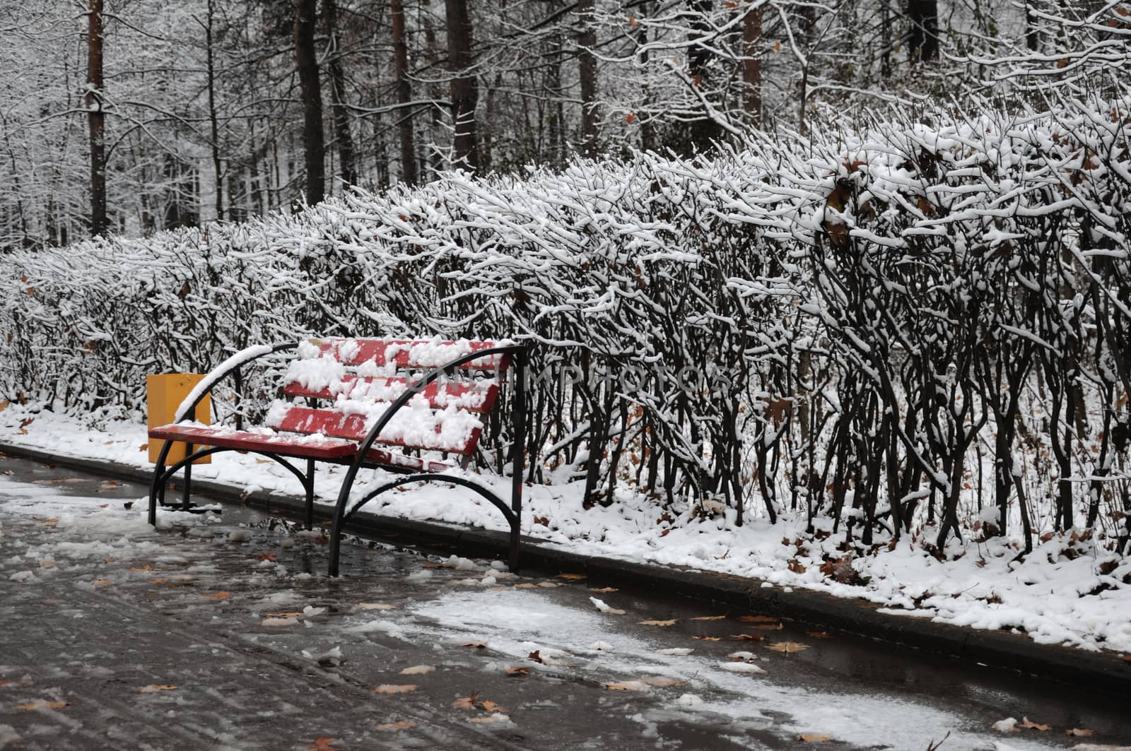 A bench in a winter park, covered by snow.