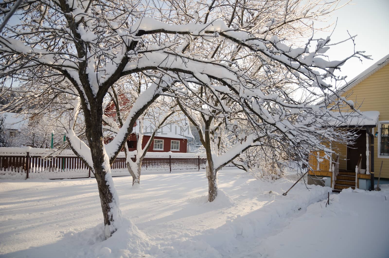 Beautiful winter view of the cottage and frozen trees under the blue sky