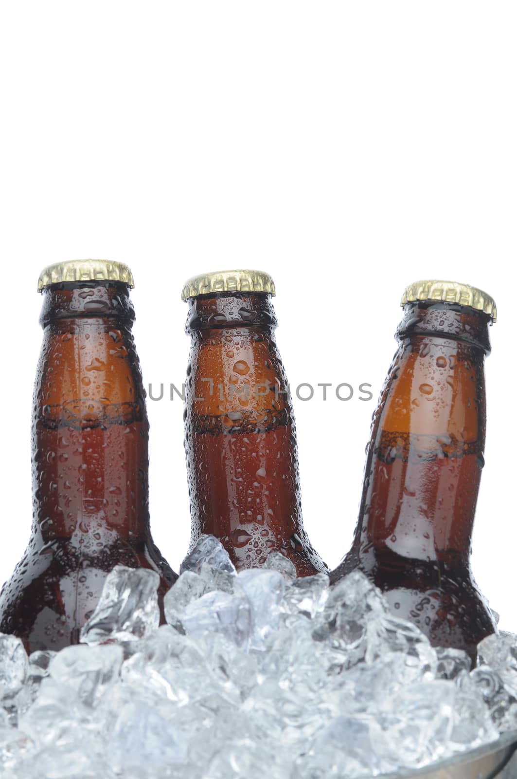 Three Brown Beer Bottles in Ice with Condensation isolated on white