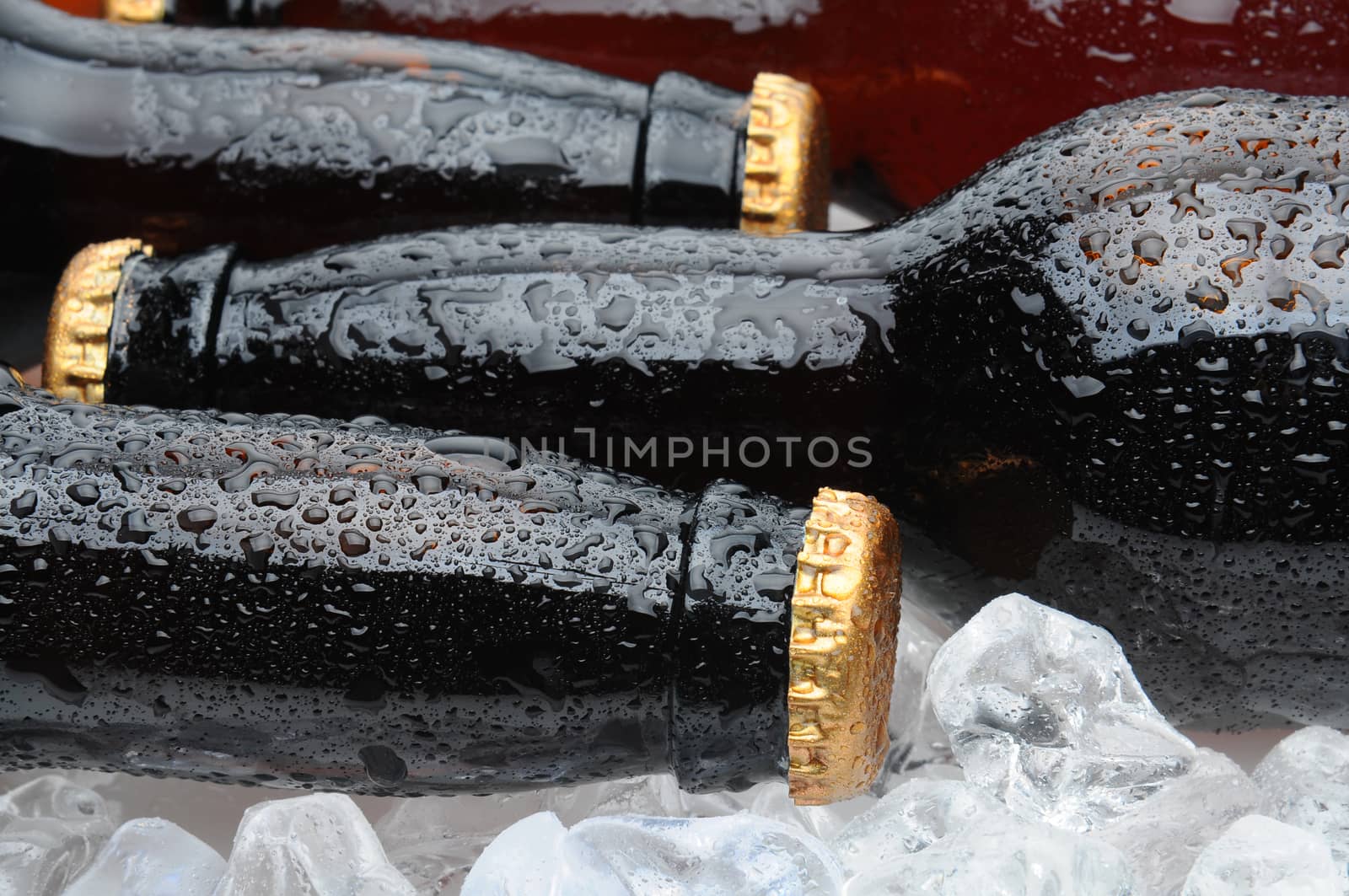 Closeup of Brown Beer Bottles Laying in Ice. Horizontal format with focus on the front bottle.