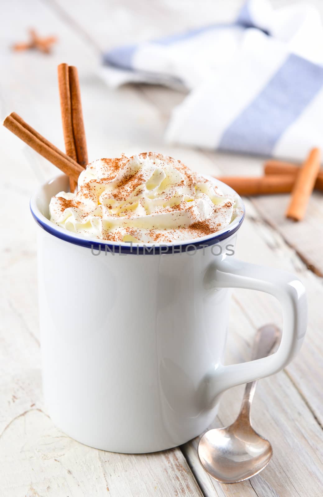 Hot Cocoa in white mug with cinnamon sticks. Vertical format with shallow depth of field.
