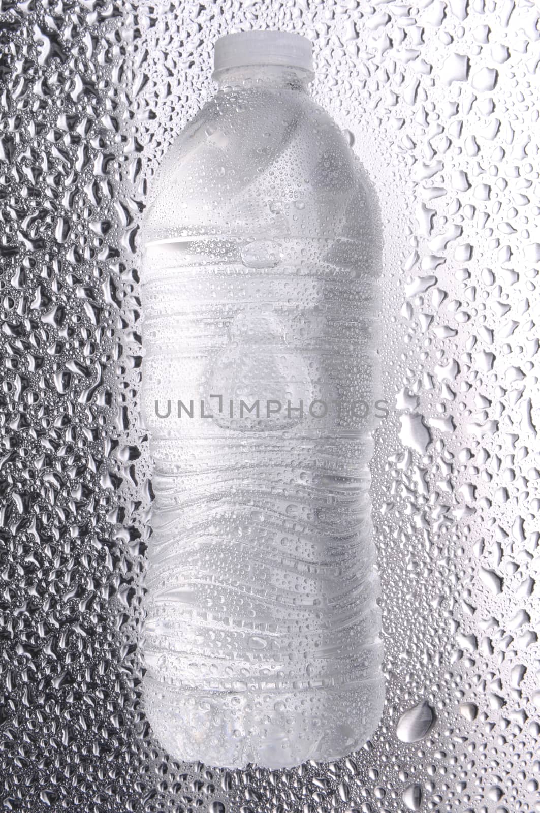 Water bottle laying on its side on a metal surface covered in water drops.
