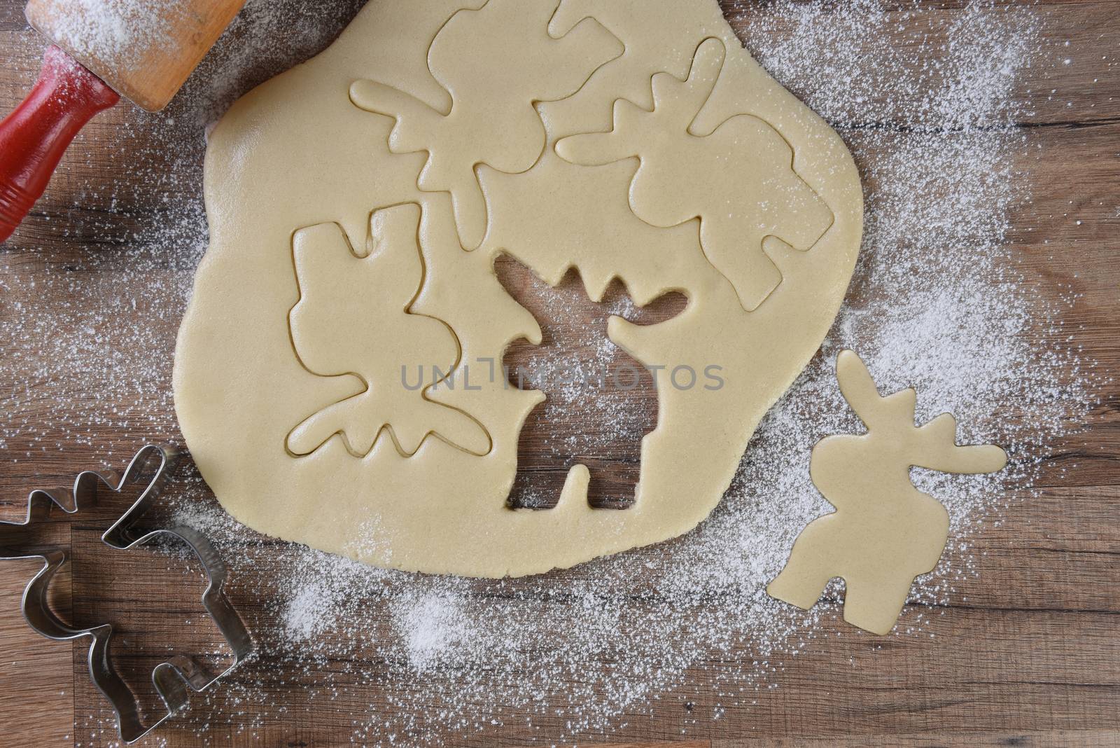 Cookie dough with moose shapes cutter and rolling pin on a flour by sCukrov