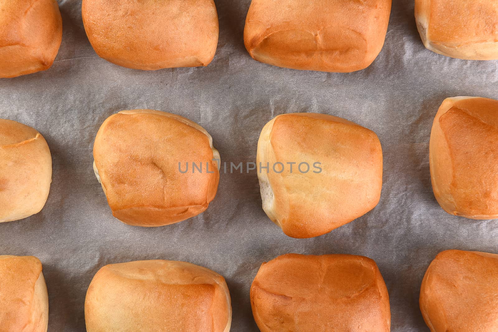 Closeup top view of fresh baked dinner rolls on parchment paper.