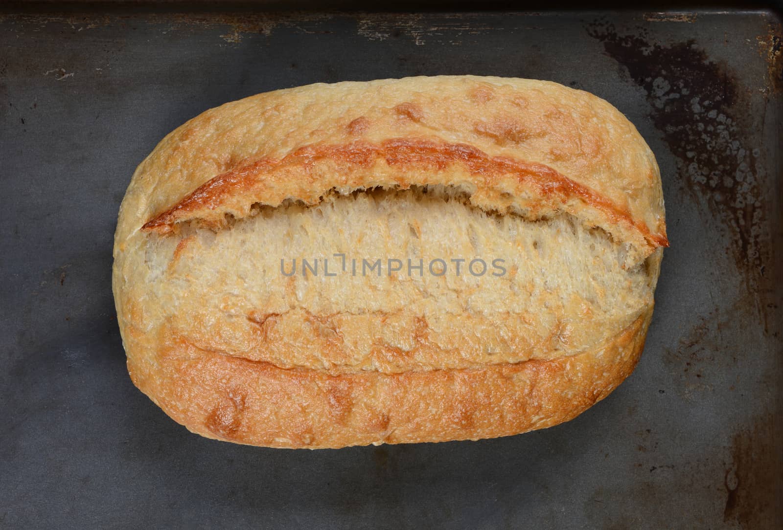 High angle view of a fresh baked loaf of bread on a baking sheet.