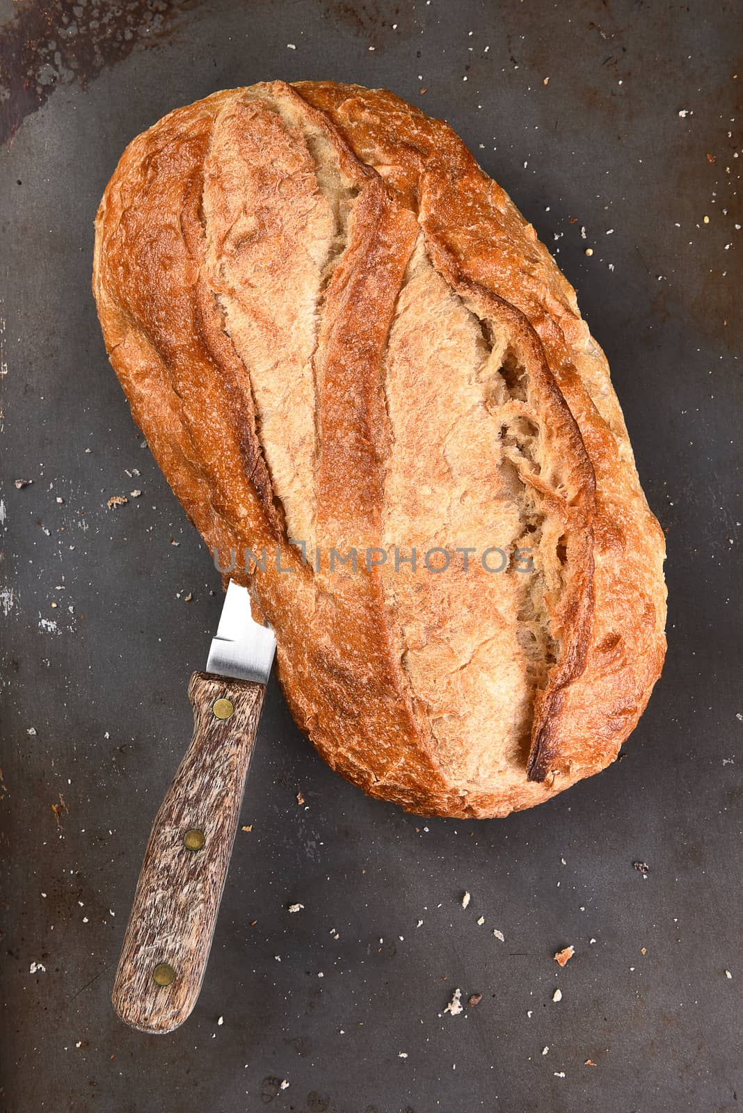 Still life of a loaf of country style white bread on a baking sheet. There is a knife stuck in the side of the loaf.