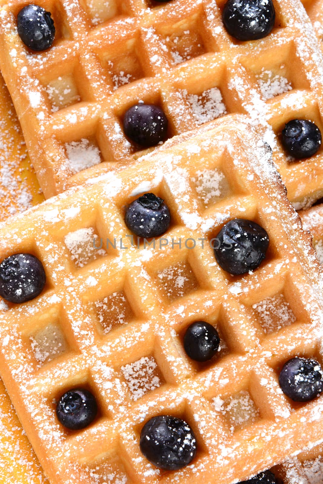 Blueberry Waffles Closeup by sCukrov