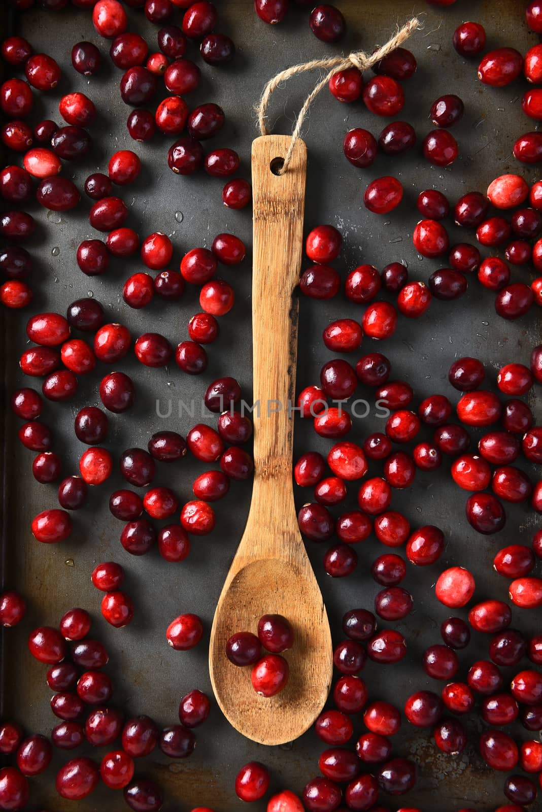Overhead view of fresh cranberries and a wooden spoon. Vertical format. 