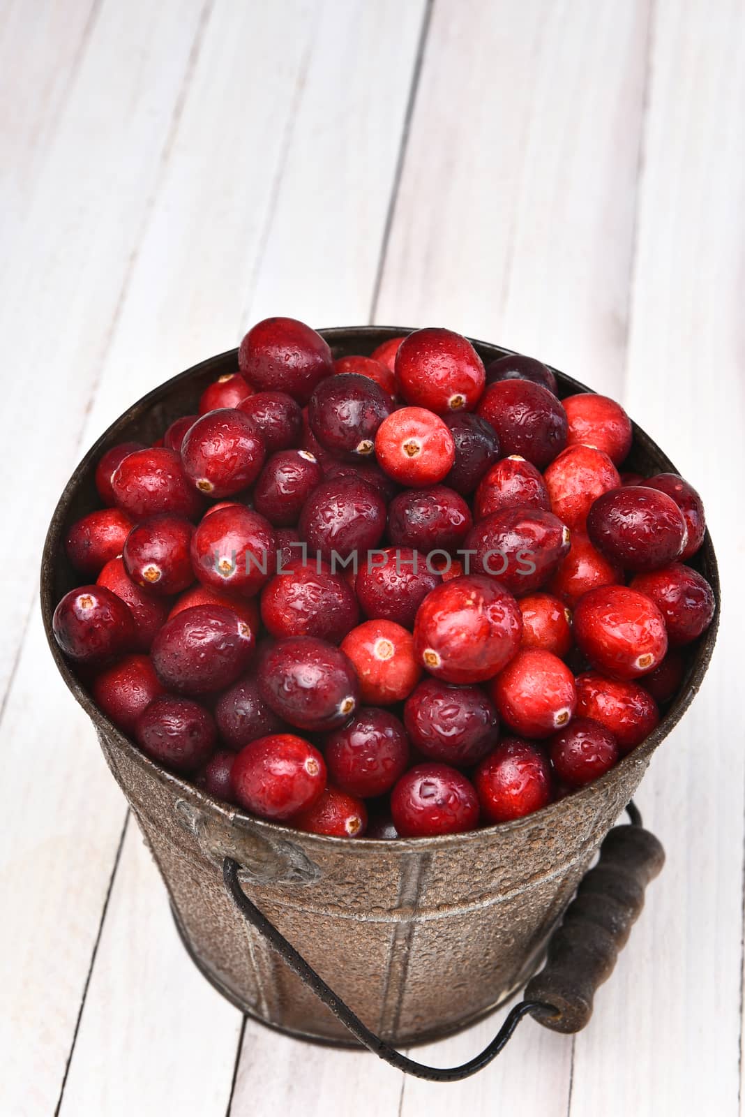 A bucket of fresh whole cranberries seen from a high angle. The pail is on a white wood table.