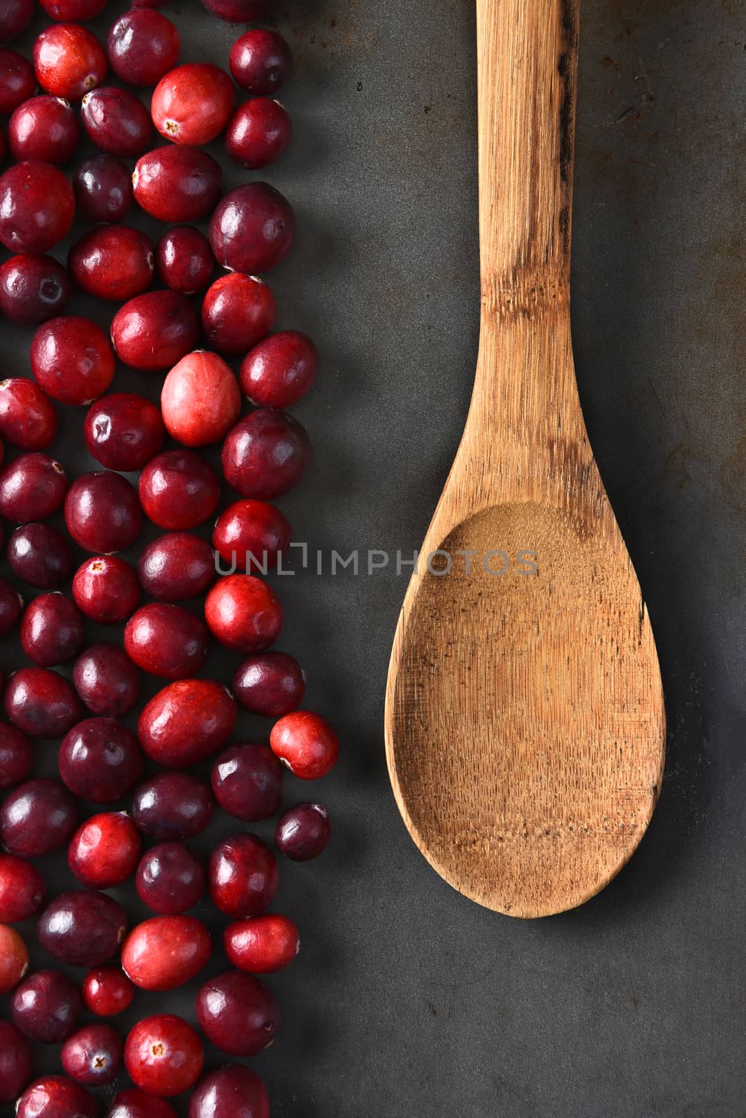 High angle view of fresh whole cranberries and a wooden spoon on a metal baking sheet. Vertical format.