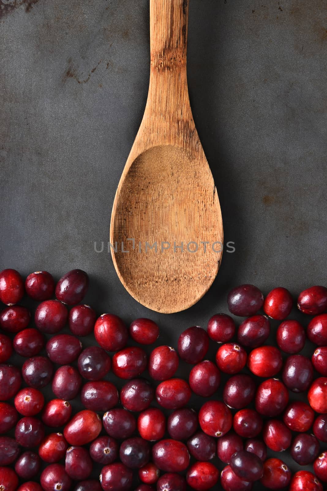 Cranberries Wood Spoon Baking Sheet by sCukrov