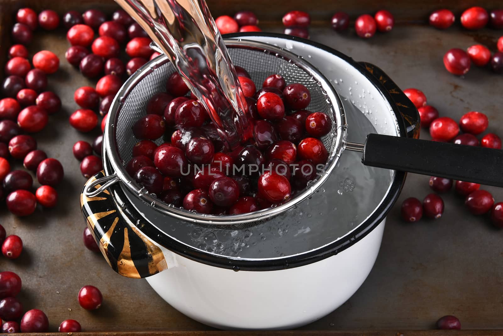 Washing cranberries to make cranberry sauce for Thanksgiving.