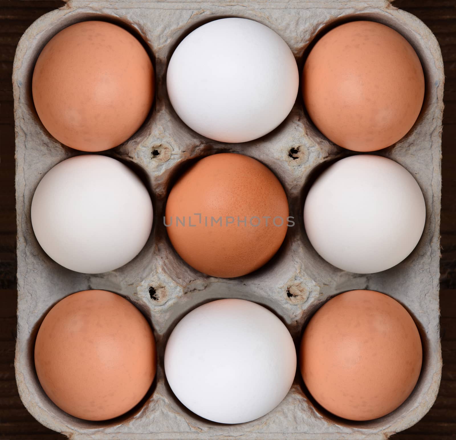 Nine Eggs in a Cardboard Carton by sCukrov