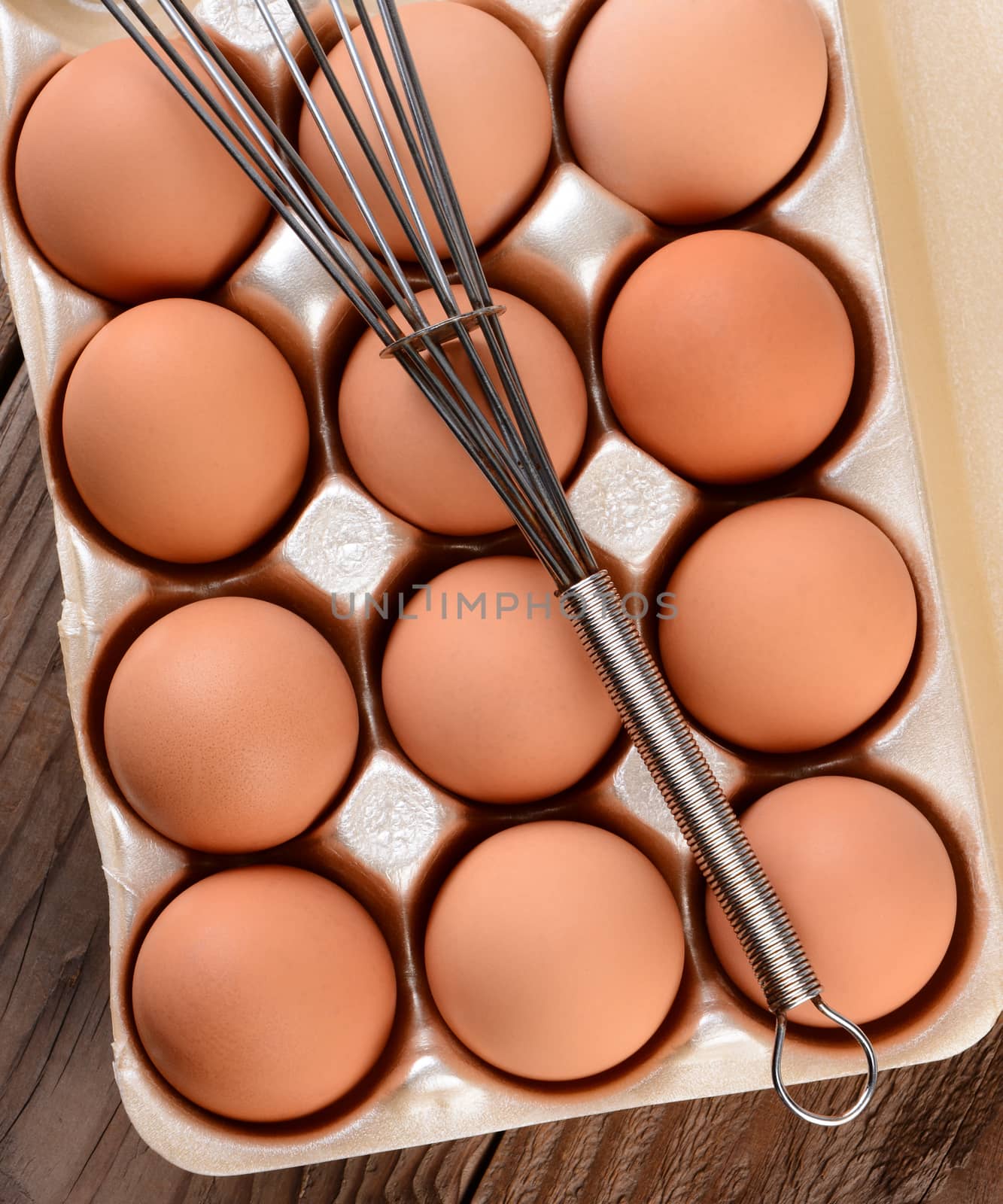 Egg Carton With Wisk by sCukrov
