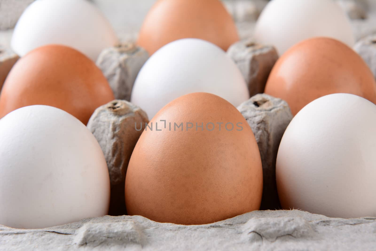 Closeup of Eggs in Cardboard Carton by sCukrov