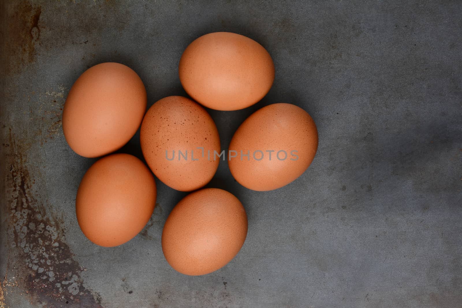 Overhead shot of six organic brown eggs on a metal baking sheet. Horizontal format with copy space.