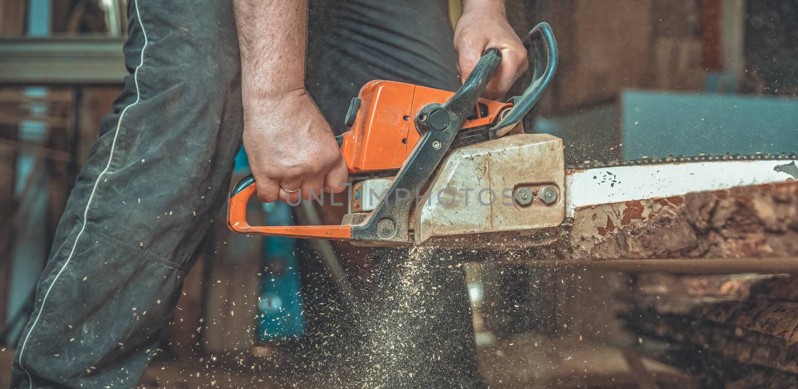 chainsaw in the hands of a carpenter cutting wood