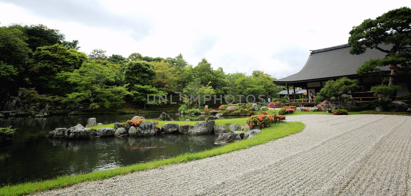 Japanese garden in kyoto japan