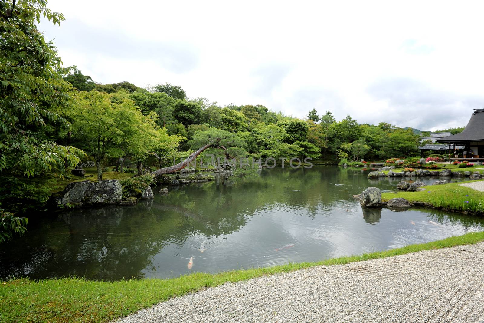 Japanese garden in kyoto japan