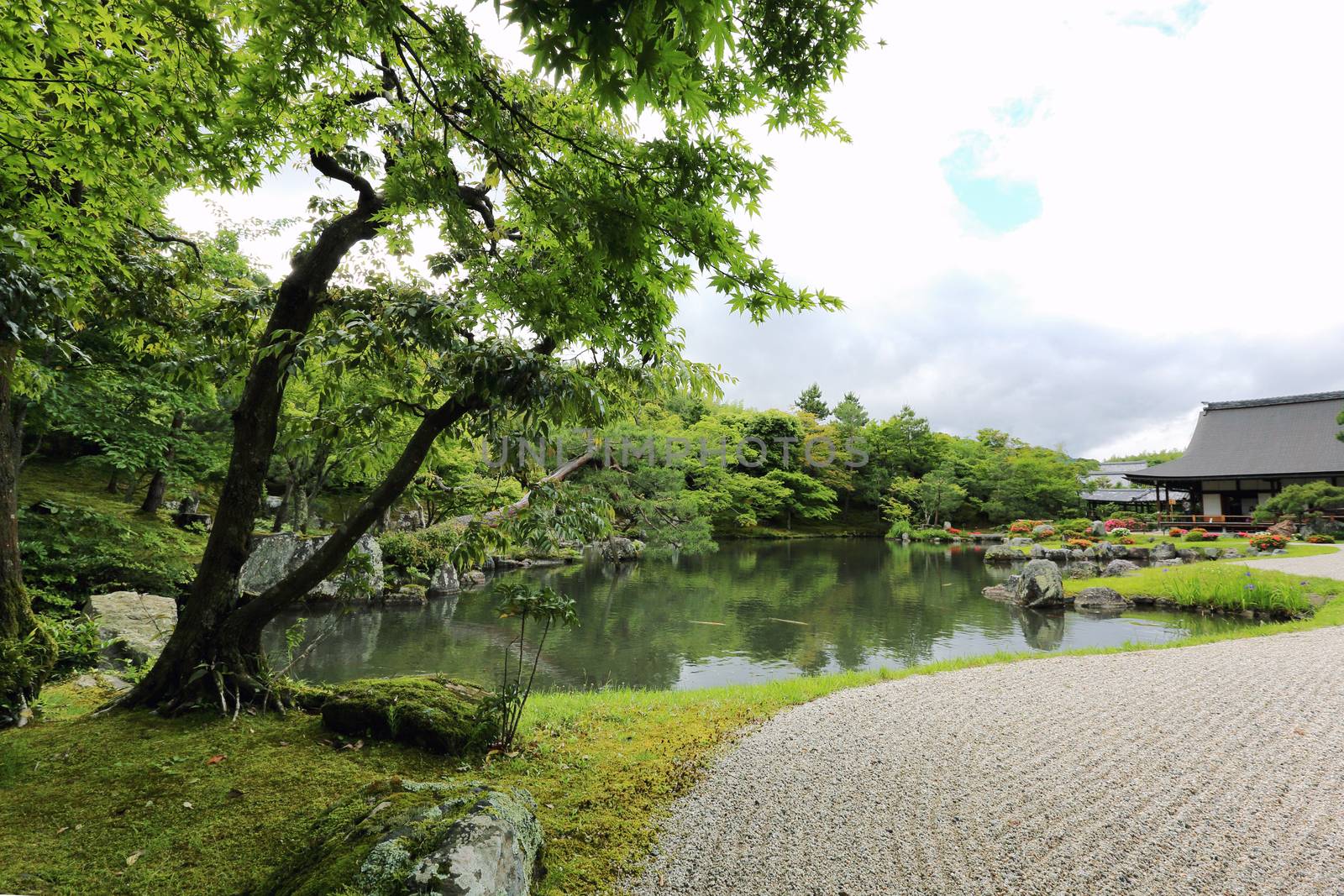 Japanese garden in kyoto japan by piyato