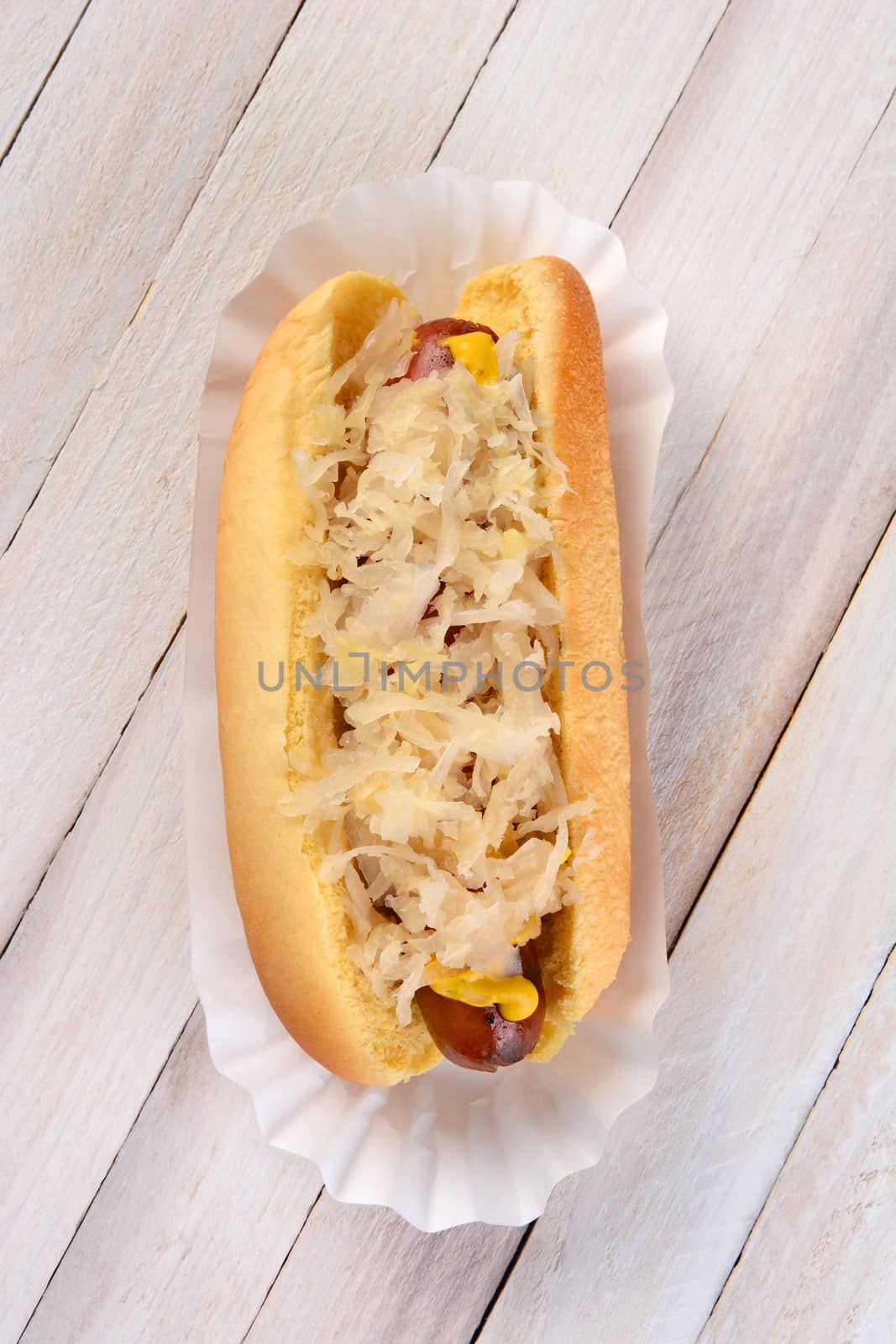 Kraut Dog by sCukrov