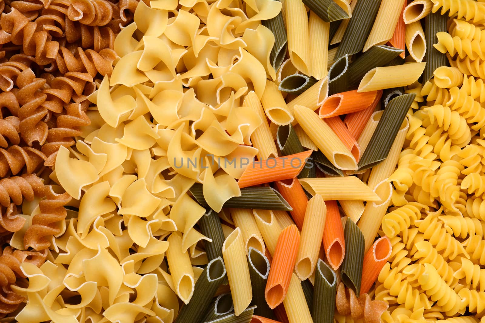 Closeup of a variety of different sizes and shapes of Italian pastas.