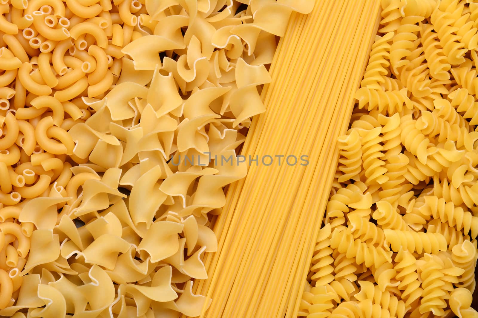 Closeup of a variety of different sizes and shapes of Italian pastas.