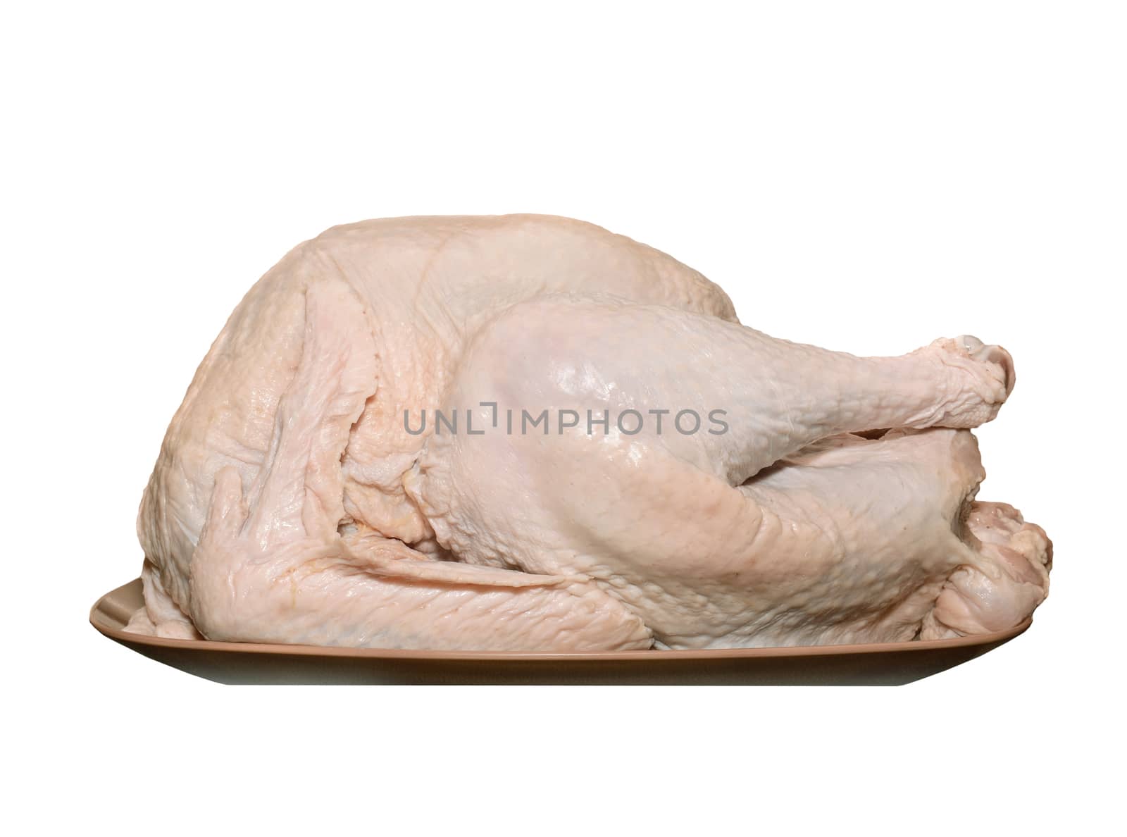 Closeup of an uncooked turkey on a platter. A traditional Thanksgiving staple ready for seasoning and roasting.