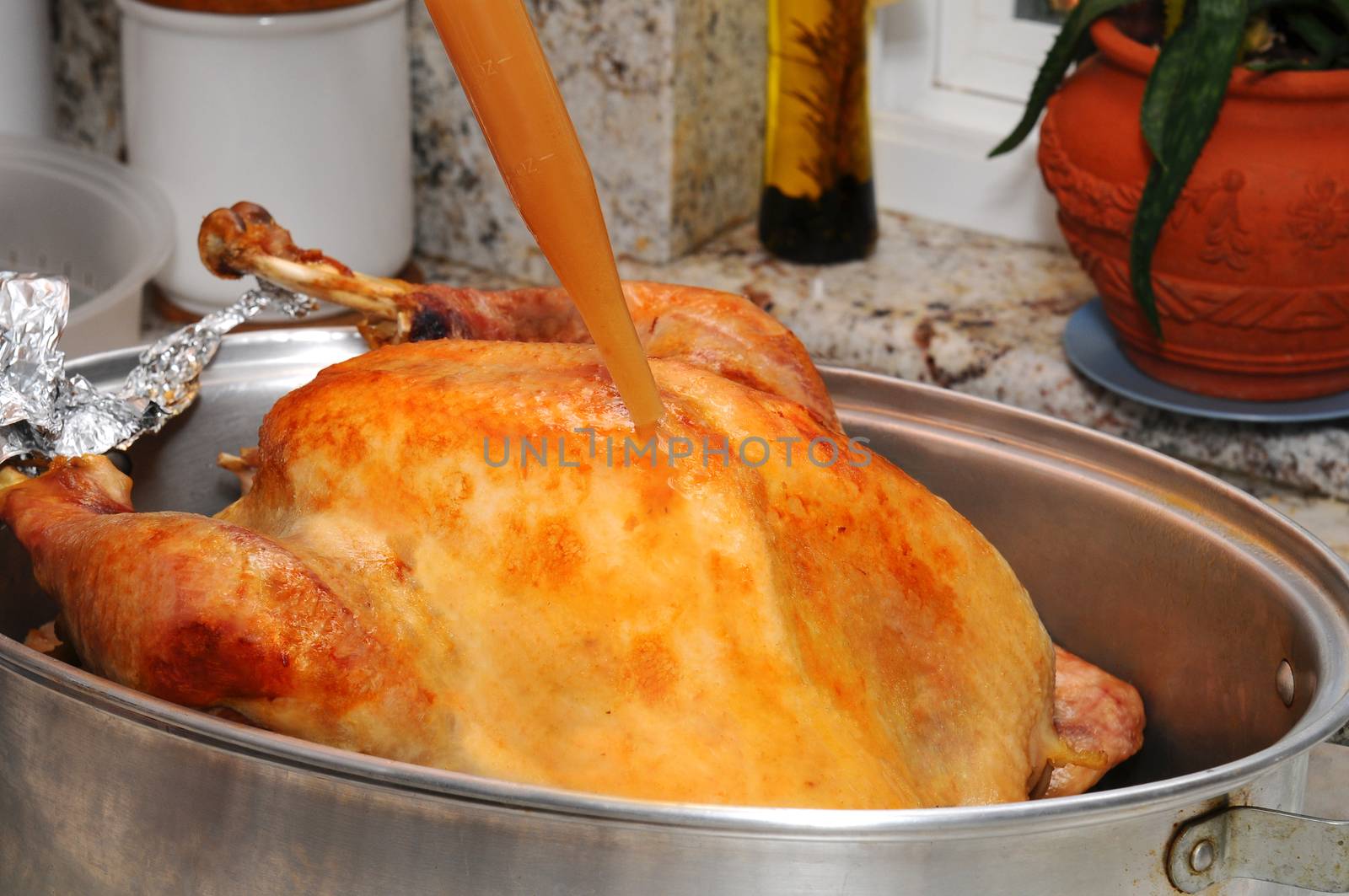 Closeup of a Thanksgiving Turkey being basted with its own juices. Horizontal format.