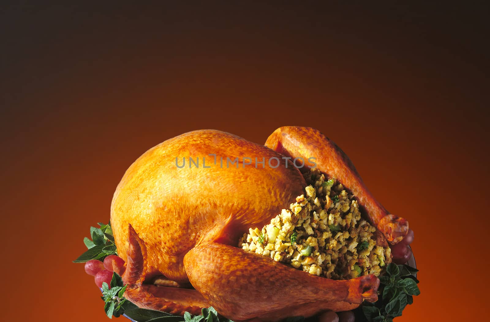 Thanksgiving Turkey on Warm Background by sCukrov