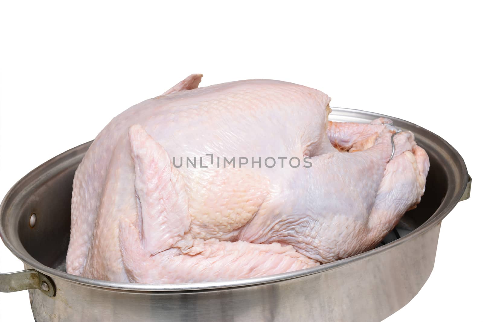 Uncooked Turkey in Roasting Pan by sCukrov