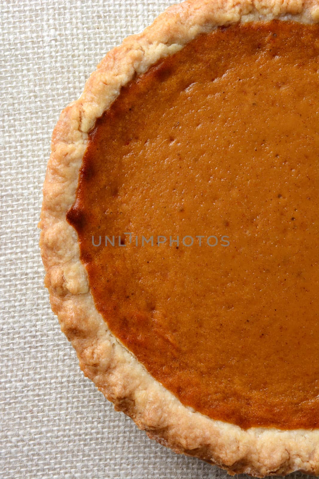 Pumpkin Pie Closeup by sCukrov