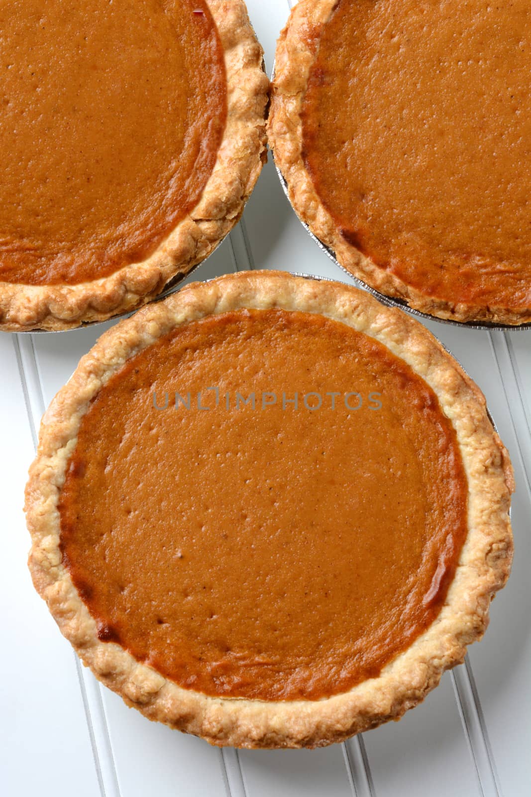 High angle closeup of three fresh baked pumpkin pies. The traditional American dessert - Pumpkin, pie is a Thanksgiving staple. Vertical format.