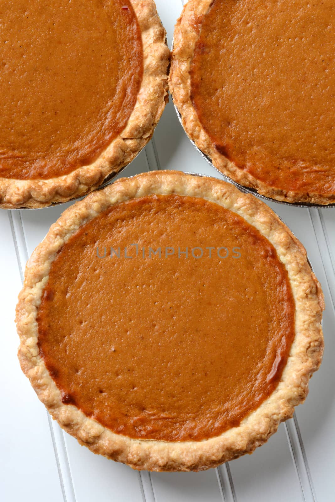 Three Pumpkin Pies Closeup by sCukrov