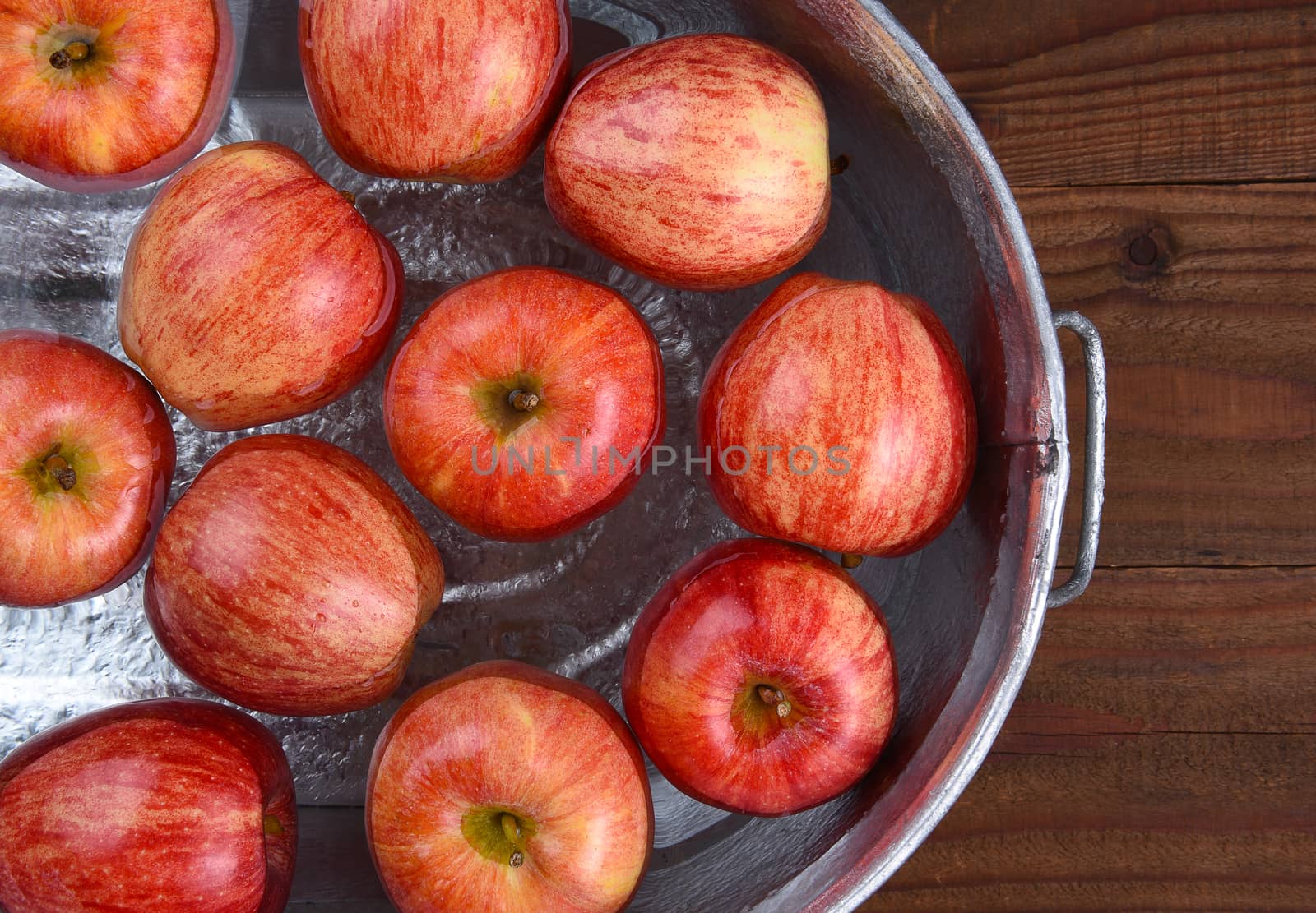 High angle closeup of a metal tub filled with water and apples for the Halloween custom of Apple Bobbing.